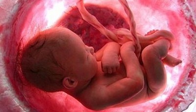 Embarazo: Mitos y Verdades