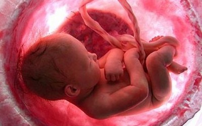 Embarazo: Mitos y Verdades