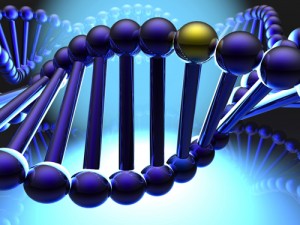 Golden gene in DNA