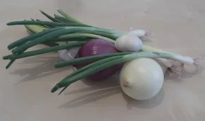 Alimentos que producen mal aliento