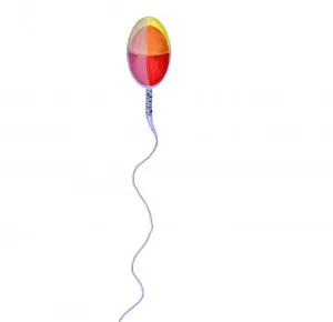 Spermatozoa