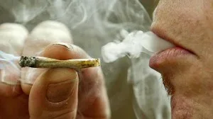 La  legalización de la marihuana en Uruguay